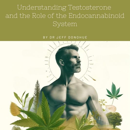 Understanding Testosterone and the Role of the Endocannabinoid System